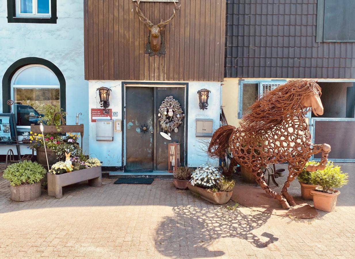 Hof Vierzehnender Im Hohen Venn - 70Qm Maisonette - 2 Schlafzimmer - Wohnkueche - Balkon Mit Grill - Monschau - Eifel - Hunde Willkommen - Islandpferde Kültér fotó