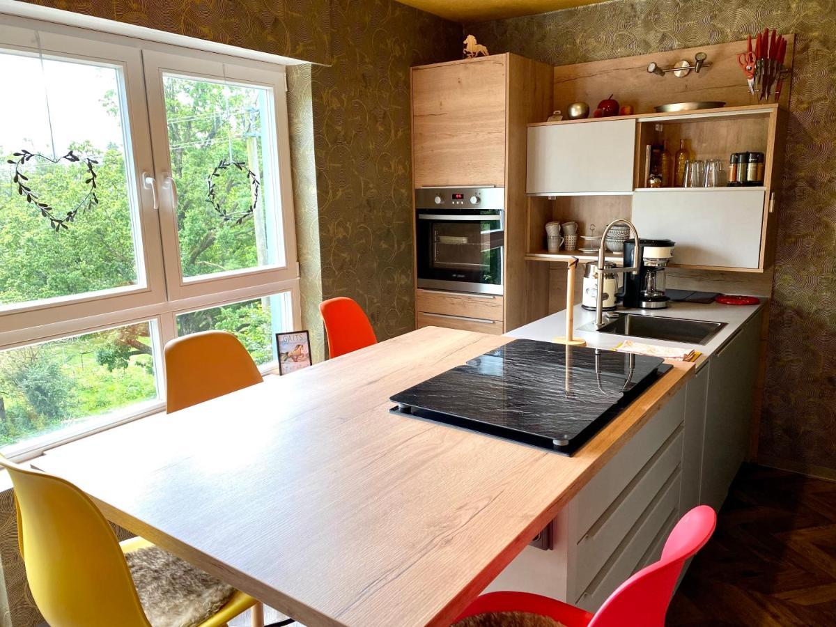 Hof Vierzehnender Im Hohen Venn - 70Qm Maisonette - 2 Schlafzimmer - Wohnkueche - Balkon Mit Grill - Monschau - Eifel - Hunde Willkommen - Islandpferde Kültér fotó