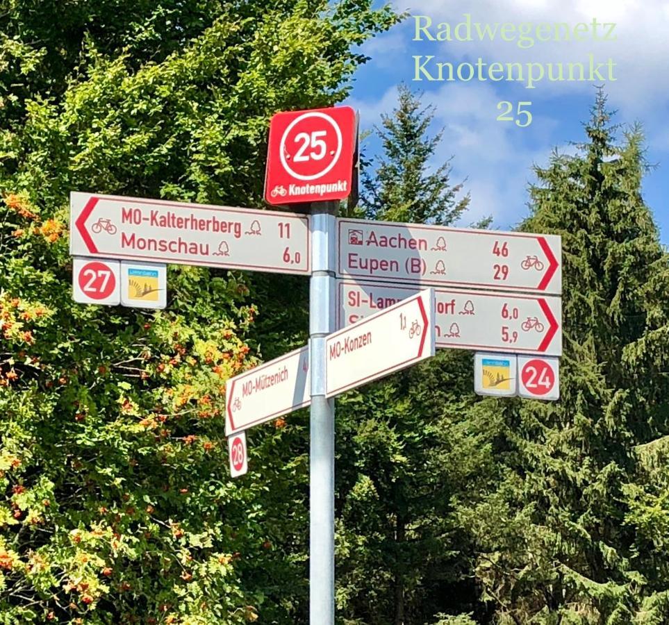 Hof Vierzehnender Im Hohen Venn - 70Qm Maisonette - 2 Schlafzimmer - Wohnkueche - Balkon Mit Grill - Monschau - Eifel - Hunde Willkommen - Islandpferde Kültér fotó