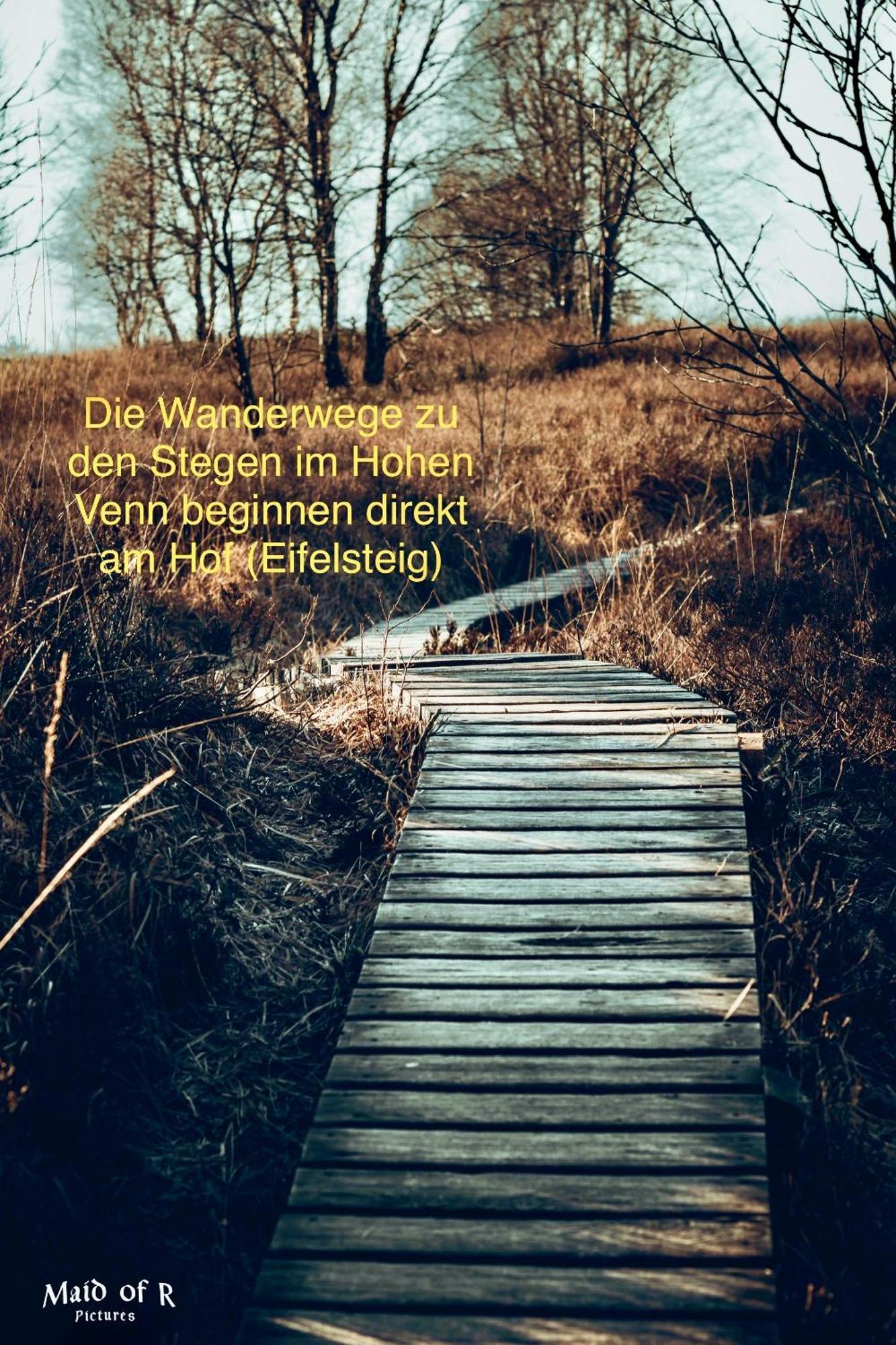 Hof Vierzehnender Im Hohen Venn - 70Qm Maisonette - 2 Schlafzimmer - Wohnkueche - Balkon Mit Grill - Monschau - Eifel - Hunde Willkommen - Islandpferde Kültér fotó