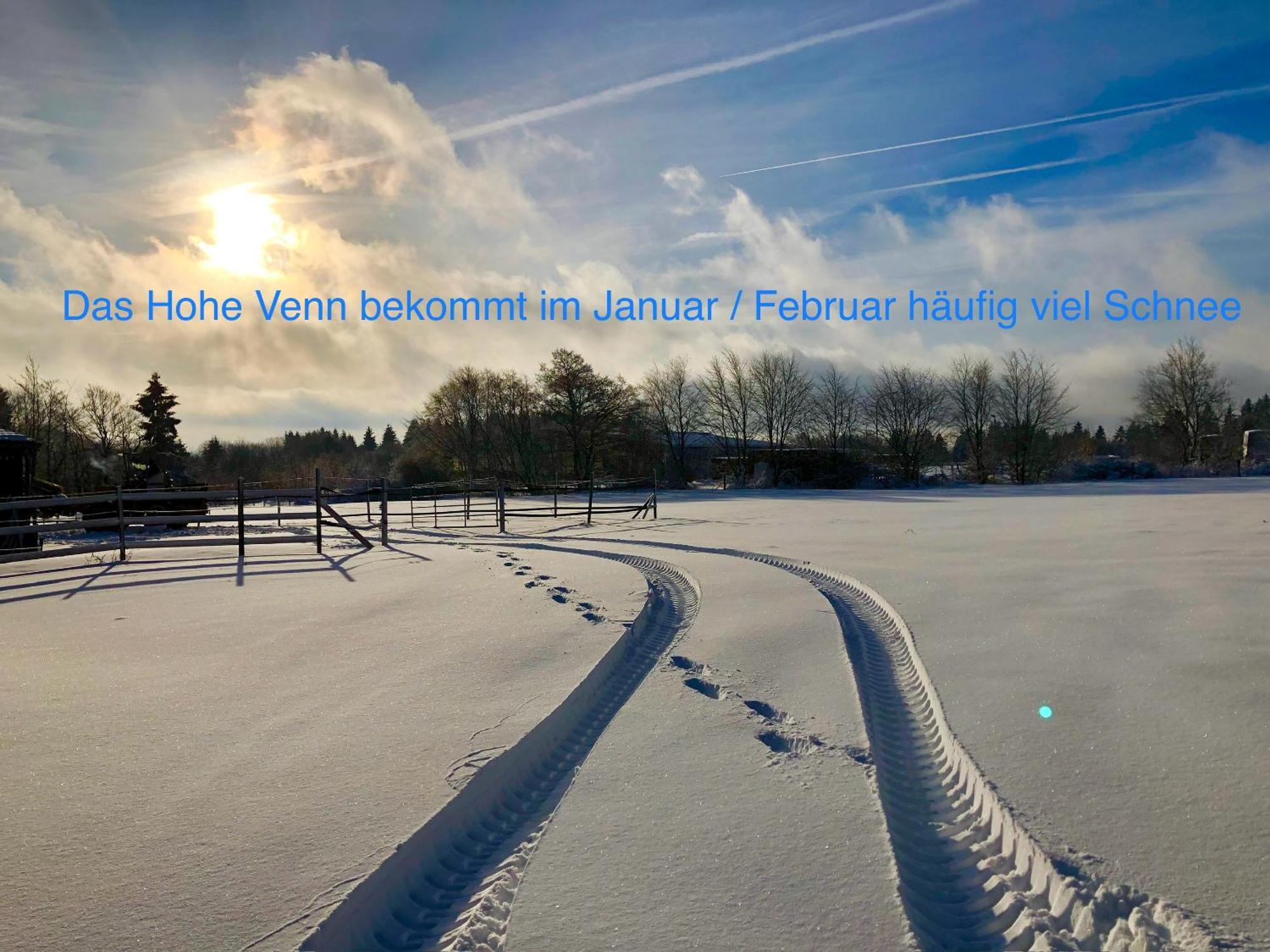 Hof Vierzehnender Im Hohen Venn - 70Qm Maisonette - 2 Schlafzimmer - Wohnkueche - Balkon Mit Grill - Monschau - Eifel - Hunde Willkommen - Islandpferde Kültér fotó