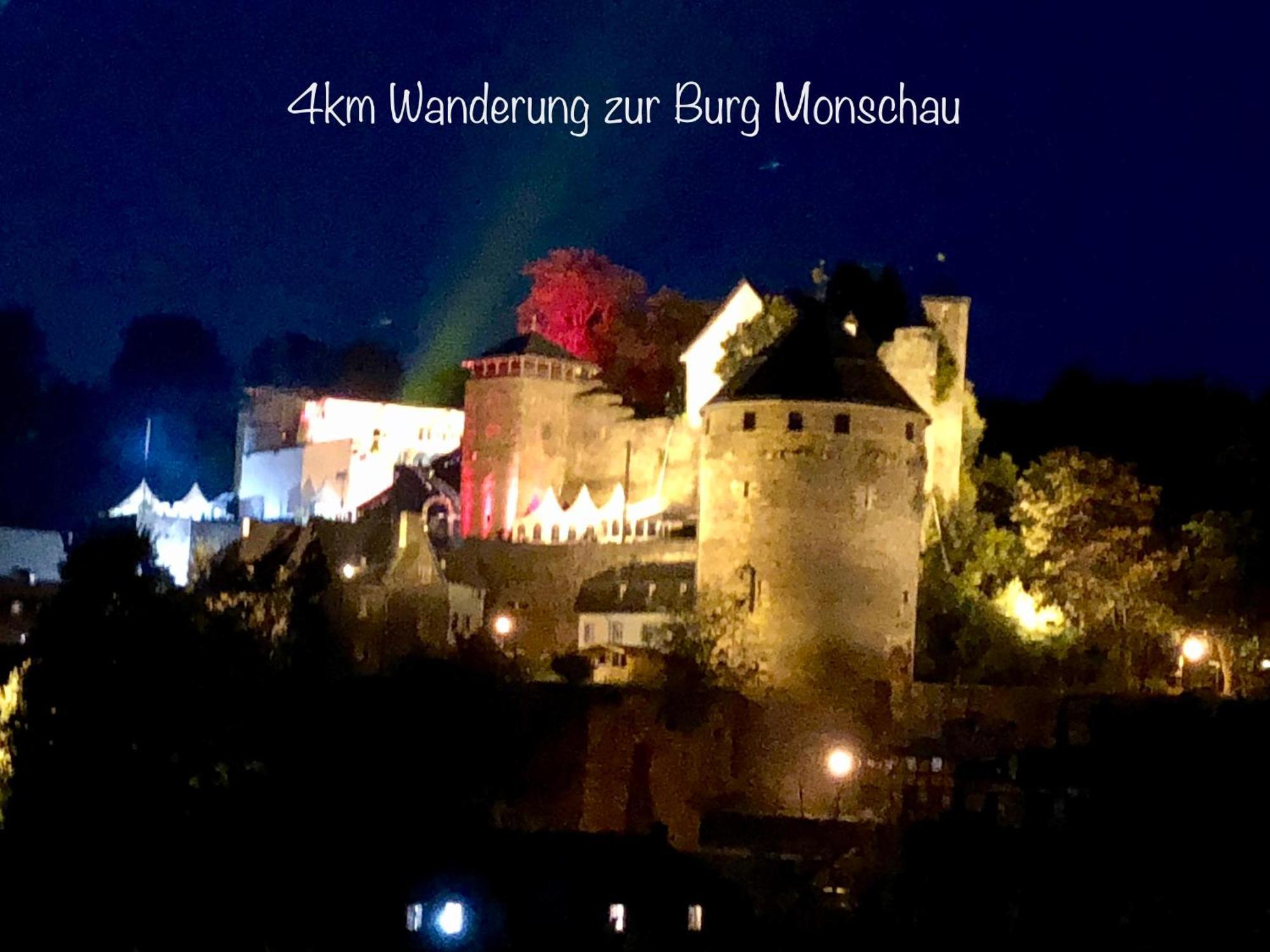 Hof Vierzehnender Im Hohen Venn - 70Qm Maisonette - 2 Schlafzimmer - Wohnkueche - Balkon Mit Grill - Monschau - Eifel - Hunde Willkommen - Islandpferde Kültér fotó